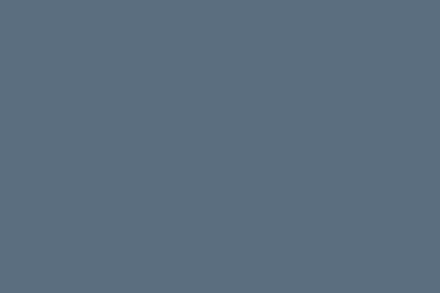 BDO Slate Color